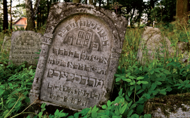 Une tombe d'un cimetière juif de Szczebrzeszyn, en Pologne. Illustration. (Crédit : Fondation pour la préservation du patrimoine juif en Pologne) Une tombe d'un cimetière juif de Szczebrzeszyn, en Pologne. Illustration. (Crédit : Fondation pour la préservation du patrimoine juif en Pologne)