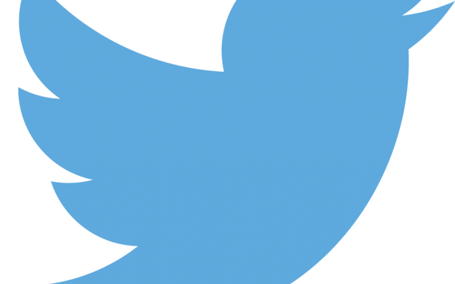 Logo Twitter (Crédit : Twitter) Logo Twitter (Crédit : Twitter)