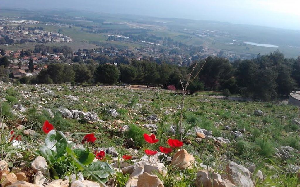 Le printemps à Rosh Pina (Crédit : Yehoshafat Pop)