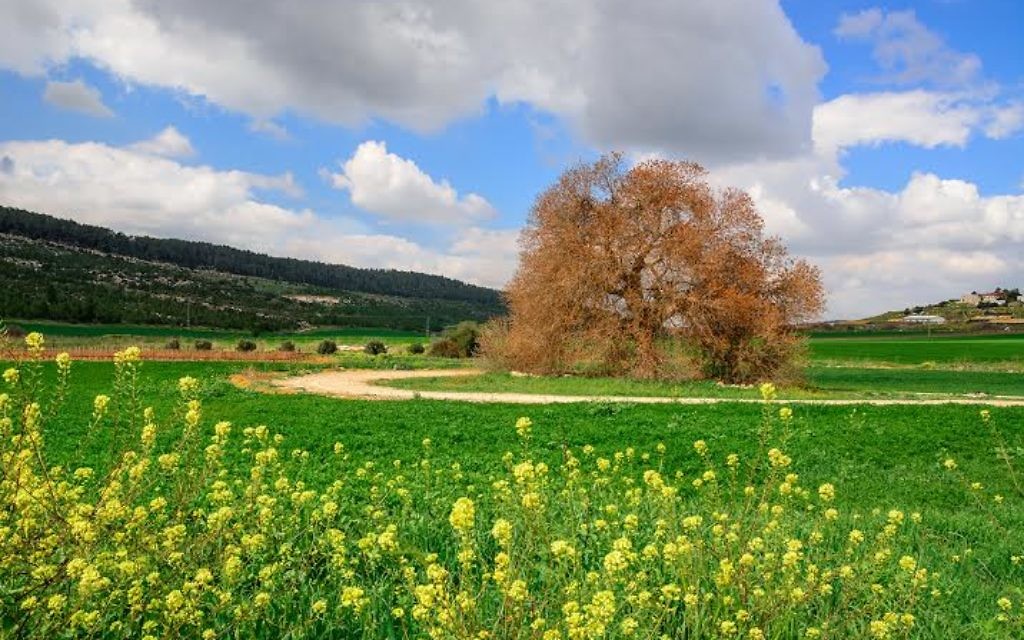 Grand ciel bleu (Crédit : Yehoshua Derovan)