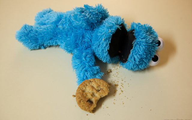 Macaron le glouton souffre d'une indigestion (Crédit : CC BY Casey Fleser/Flickr) Macaron le glouton souffre d'une indigestion (Crédit : CC BY Casey Fleser/Flickr)