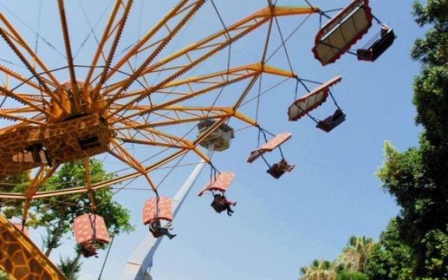 Le carroussel au Luna Park de Tel Aviv (Crédit : Gili Yaari/Flash 90) Le carroussel au Luna Park de Tel Aviv (Crédit : Gili Yaari/Flash 90)
