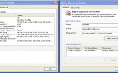 Capture d'écran d'un certificat de sécurité Microsoft (Crédit : autorisation)