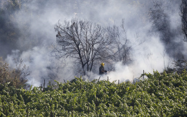 Incendie de forêt dans les montagnes de Jérusalem (Crédit : flash 90) Incendie de forêt dans les montagnes de Jérusalem (Crédit : flash 90)