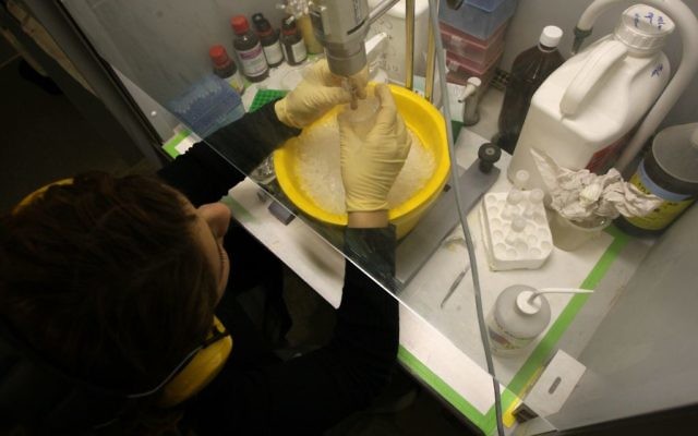 Une femme qui fait de la recherche sur le cancer du sein à la faculté de médecine de l'Université hébraïque  à Jérusalem (Crédit : Keren Freeman/Flash90)