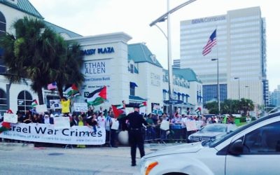Rassemblement anti-israélien à Houston, Texas (Crédit : Miriam A. Shaviv/The TImes of Israel)