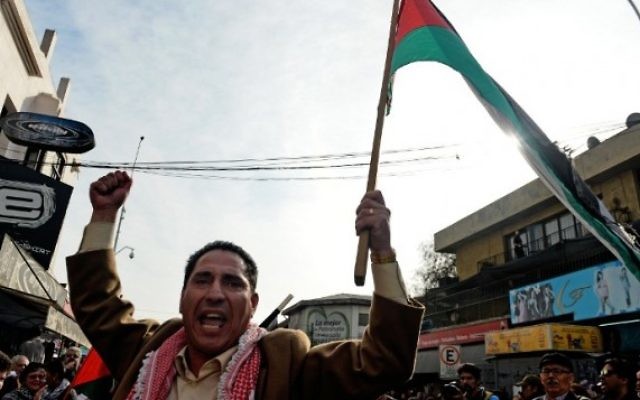 Chili : manifestation pro-palestinienne pour exiger la rupture des relations avec Israël (Crédit :  AFP/ MARTIN BERNETTI)