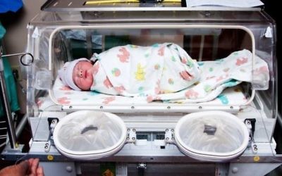 Les bébés prématurés présentent des risques élevés face à divers problèmes de santé, notamment la mort. (Crédit : http://www.shutterstock.com/pic-90808496/stock-photo-cute-sick-newborn-premature-neonatal-baby-swaddled-in-bunny-blanket-placed-in-incubator-chamber-in.html?src=AMbmYixnOo0nD3W5YoRCsg-1-19)