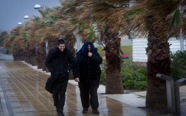 Des Juifs ultra-orthodoxes au port de Tel Aviv - 7 janvier 2015 (Crédit : Amir Lévy/Flash 90) Des Juifs ultra-orthodoxes au port de Tel Aviv - 7 janvier 2015 (Crédit : Amir Lévy/Flash 90)