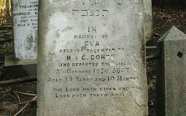 Pierre tombale dans le cimetière de Dunedin en Nouvelle-Zélande (Crédit : Wikimedia Commons/CC BY-SA 3.0) Pierre tombale dans le cimetière de Dunedin en Nouvelle-Zélande (Crédit : Wikimedia Commons/CC BY-SA 3.0)