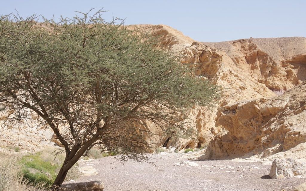 L'entrée du Red Canyon d'Eilat (Crédit : Shmuel Bar-Am)