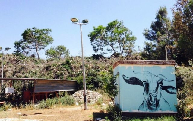 Des aigrettes et autres œuvres d'art à l'entrée d'AMOCA, le nouveau musée d'art de Sakhnin (Jessica Steinberg / Times of Israel)