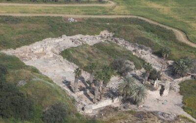 Photo aérienne du palais des Omeyyades à Khirbat al-Minya (Autorisation des de Minya , Université hébraïque de Jérusalem, Ilan Arad)