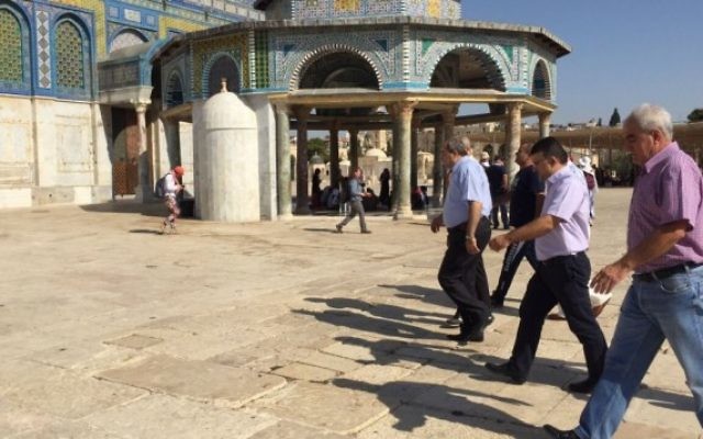 Des députés de la Liste arabe unie devant le Dôme du Rocher, sur le mont du Temple, à Jérusalem, le 28 juillet 2015. (Crédit : autorisation) Des députés de la Liste arabe unie devant le Dôme du Rocher, sur le mont du Temple, à Jérusalem, le 28 juillet 2015. (Crédit : autorisation)