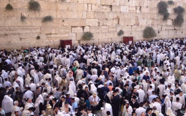 Des milliers de personns rassemblées au mur Occidental pour la cérémonie annuelle de la bénédiction sacerdotale de Souccot, le 30 septembre 2015 (Photo: Autorisation / Police israélienne) Des milliers de personns rassemblées au mur Occidental pour la cérémonie annuelle de la bénédiction sacerdotale de Souccot, le 30 septembre 2015 (Photo: Autorisation / Police israélienne)