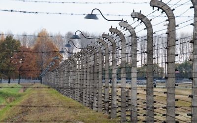 Auschwitz (Crédit : shutterstock)