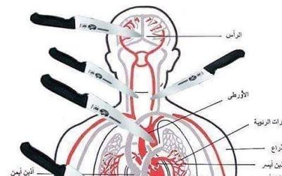 Une planche anatomique publiée sur Facebook par le Gazaoui Zahran Barbah, le 8 octobre, montrant quelles parties du corps viser lorsque l'on poignarde une victime. (Crédit : Autorisation de MEMRI) Une planche anatomique publiée sur Facebook par le Gazaoui Zahran Barbah, le 8 octobre, montrant quelles parties du corps viser lorsque l'on poignarde une victime. (Crédit : Autorisation de MEMRI)