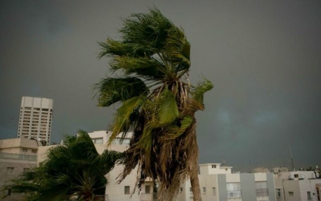 De fortes pluies et des vents forts s'abattent sur Tel Aviv, le 25 octobre 2015 (Crédit photo: Ben Kelmer / Flash90) De fortes pluies et des vents forts s'abattent sur Tel Aviv, le 25 octobre 2015 (Crédit photo: Ben Kelmer / Flash90)