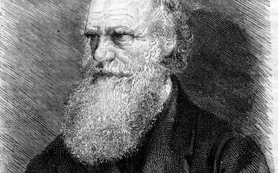 Charles Darwin (Crédit :  Shutterstock)
