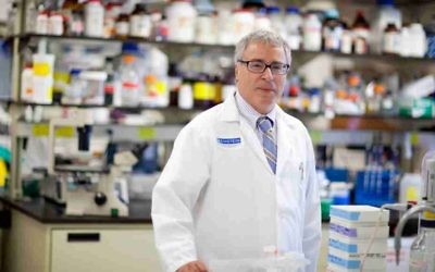 Nir Barzilai espère commencer son premier essai clinique dans un an (Crédit : courtoisie)
