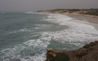 La côte de Palmachim (Crédit : Shmuel Bar-Am)
