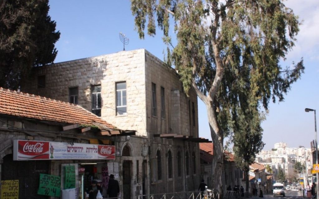 Le seul énorme et vieil eucalyptus de la rue principale du quartier Boukharim à Jérusalem. (Crédit : Shmuel Bar-Am)