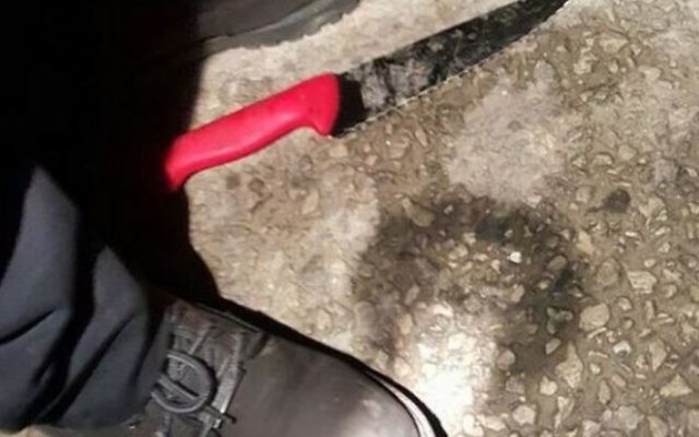 L'arme utilisée par un terroriste palestinien dans une attaque au couteau à Givat Zeev le 27 janvier 2016 (Crédit : Ministère des Affaires étrangères) L'arme utilisée par un terroriste palestinien dans une attaque au couteau à Givat Zeev le 27 janvier 2016 (Crédit : Ministère des Affaires étrangères)