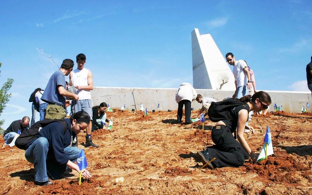 Plantations d'arbres à Tou Bichvat au monument Lehi, dans la forêt Lehi à Mishmar Ayalon entre Latrun et Ramle, dans el centre d'Israël. (Crédit : Shmuel Bar-Am)