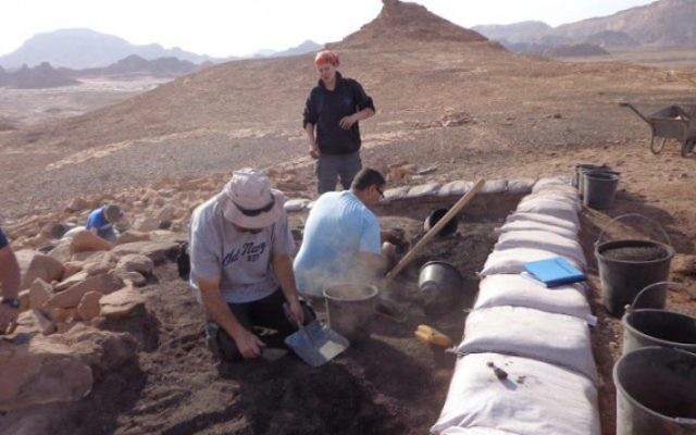 L'équipe d'excavation de Timna de l'université de Tel-Aviv au travail (Crédit : Central Timna Valley Project – TAU) L'équipe d'excavation de Timna de l'université de Tel-Aviv au travail (Crédit : Central Timna Valley Project – TAU)