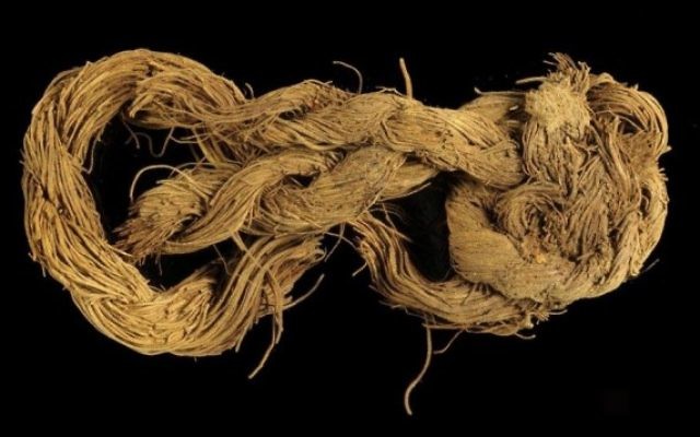 Une corde fabriquée en fibre d'un palmier dattier trouvée au site 34 (Crédit : Clara Amit / Israel Antiquities Authority) Une corde fabriquée en fibre d'un palmier dattier trouvée au site 34 (Crédit : Clara Amit / Israel Antiquities Authority)
