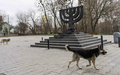 Des chiens errants près du monument de Babi Yar, le 14 mars 2016, à Kiev, où des nazis et des collaborateurs locaux ont assassinés 30 000 juifs en 1941. (Crédit : Cnaan Liphshiz/JTA)