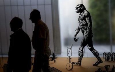 Des visiteurs dans une exposition sur la théorie de l'évolution au musée d'Israël de Jérusalem, le 23 juin 2015. (Crédit : Hadas Parush/Flash90)