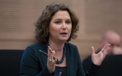 La députée du Meretz Michal Rozin lors d'une session d'une commission de la Knesset, le 14 décembre 2015. (Crédit : Yonatan Sindel/Flash90)
