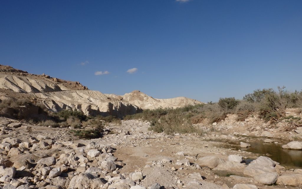 Le Nahal Zin (lit de rivière asséché), un sentier de randonnée très populaire dans le Néguev, le 27 mai 2016. (Crédits : Héloïse Fayet / Times of Israel)