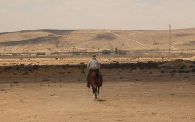 Le guide touristique Arthur du Mosch lors d'une randonnée équestre dans le désert du Néguev, le 28 mai 2016. (Crédits : Héloïse Fayet / Times of Israel)