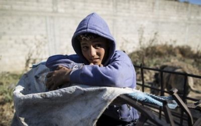 Karam al-Zaaneen, Palestinien de 13 ans, à larrière d'un chariot tiré par un âne après avoir collecté du plastqiue de recyclage dans une décharge de Beit Hanun, dans le nord de la bande de Gaza, le 18 mai 2016. (Crédit : AFP Photo/Mahmud Hams)