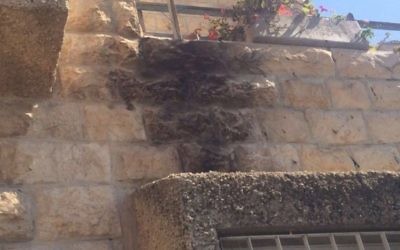 Dégâts de feu sur une maison dans le quartier Armon Hanatziv de Jérusalem causée par une bombe incendiaire le 17 juin 2016. (Police israélienne)