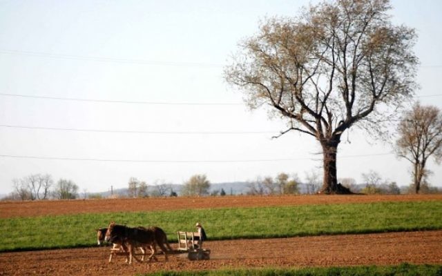 Un fermier amish laboure son champ avec ses chevaux, près de Wakefield, en Pennsylvanie. Illustration. (Crédit : Nati Shohat /Flash90) Un fermier amish laboure son champ avec ses chevaux, près de Wakefield, en Pennsylvanie. Illustration. (Crédit : Nati Shohat /Flash90)