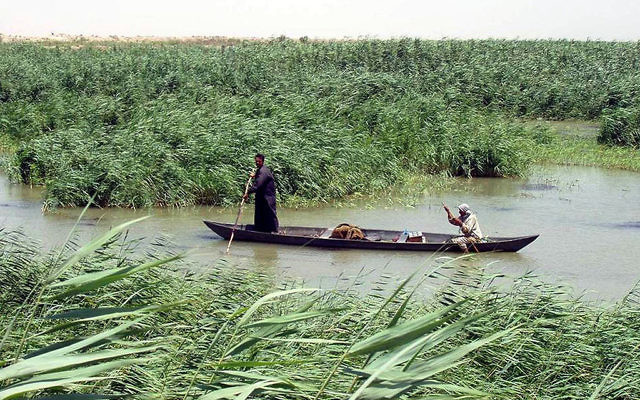 Un homme dans les marais du sud de l'Irak (Crédit : domaine public/wikimedia commons) Un homme dans les marais du sud de l'Irak (Crédit : domaine public/wikimedia commons)
