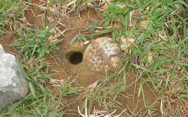 Environ 30 % des armes à sous-munition n'explosent pas lorsqu'elles touchent le sol, menaçant ainsi les civils et notamment les enfants, susceptibles de vouloir les ramasser (Crédit : Wikimedia Commons BY 3.0) Environ 30 % des armes à sous-munition n'explosent pas lorsqu'elles touchent le sol, menaçant ainsi les civils et notamment les enfants, susceptibles de vouloir les ramasser (Crédit : Wikimedia Commons BY 3.0)
