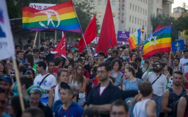 Participants à la Gay Pride annuelle de Jérusalem, le 30 juillet 2015. (Crédit : Miriam Alster/Flash90) Participants à la Gay Pride annuelle de Jérusalem, le 30 juillet 2015. (Crédit : Miriam Alster/Flash90)