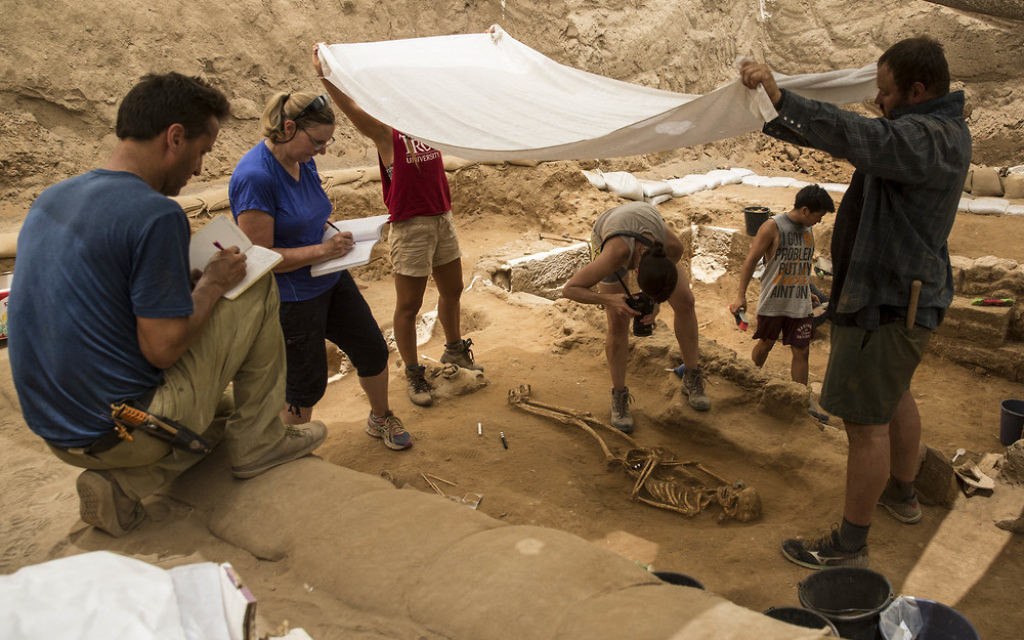 Des archéologues sur un site de fouilles à Ashkelon (Crédit : autorisation Leon Levy Expedition) Des archéologues sur un site de fouilles à Ashkelon (Crédit : autorisation Leon Levy Expedition)