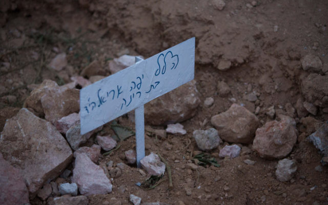La sépulture fraîche de Hallel Yaffa Ariel dans le cimetière juif de Hébron, en Cisjordanie, le 30 juin 2016 (Credit photo: Yonatan Sindel / Flash90) La sépulture fraîche de Hallel Yaffa Ariel dans le cimetière juif de Hébron, en Cisjordanie, le 30 juin 2016 (Credit photo: Yonatan Sindel / Flash90)