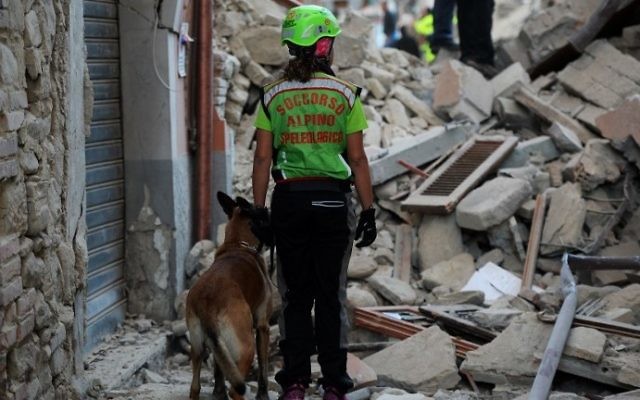 Un sauveteur cherche des victimes parmi les ruines d'une maison après un fort séisme à Amatrice, dans le centre de l'Italie, le 24 août 216. (Crédit : AFP/Filippo Monteforte)