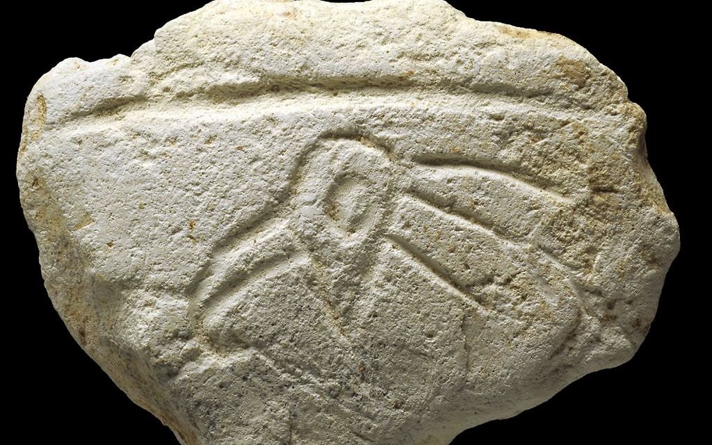 Une plaquette en calcaire âgée de 16 500 ans sculptée d'une tête d'oiseau, découverte à Ein Qashish, dans le nord d'Israël. (Crédit : CC BY/PLoS One :"A Unique Assemblage of Engraved Plaquettes from Ein Qashish South, Jezreel Valley, Israel: Figurative and Non-Figurative Symbols of Late Pleistocene Hunters-Gatherers in the Levant")