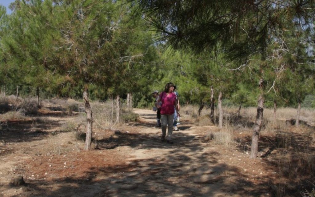 Le chemin à travers la forêt de Kommemiyut comprend une variété de feuillage, plusieurs puits, un verger et une carrière abandonnée (Crédit : Shmuel Bar-Am)