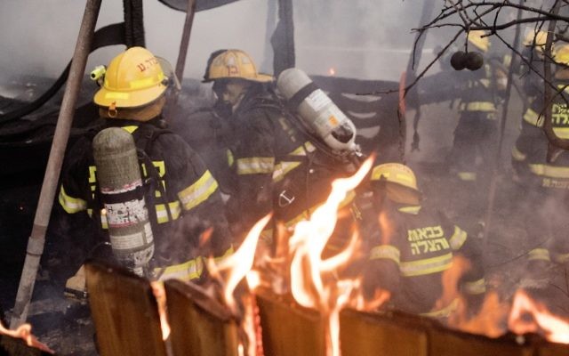 Des pompiers à Haifa, le 24 novembre 2016 (Crédit : Jack Guez/AFP) Des pompiers à Haifa, le 24 novembre 2016 (Crédit : Jack Guez/AFP)