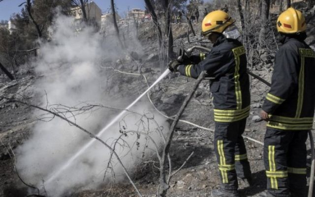 Des pompiers israéliens éteignent un incendie dans la ville du nord de Haïfa, le 24 novembre 2016. (Crédit : AFP/Jack Guez) Des pompiers israéliens éteignent un incendie dans la ville du nord de Haïfa, le 24 novembre 2016. (Crédit : AFP/Jack Guez)