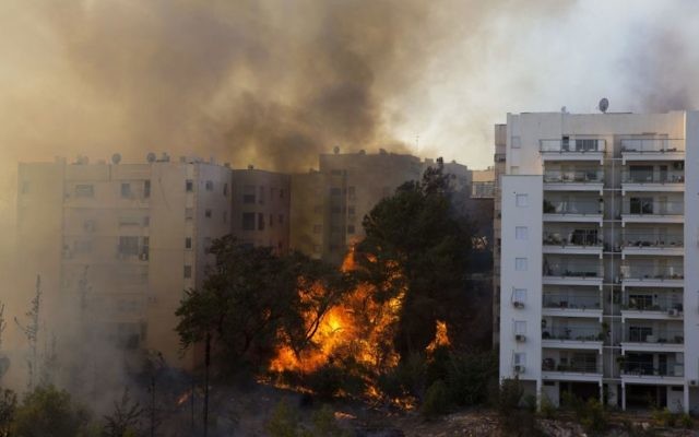 Un feu de forêt ravage la ville portuaire de Haïfa. De nombreuses personnes ont été évacuées, mais certaines personnes seraient bloquées à l'intérieur. Les pompiers luttent contre ces incendies, le 24 novembre 2016. (Crédit : Jack Guez/AFP)