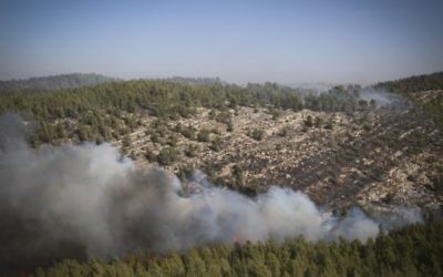 Des avions de pompiers tentent d'éteindre un feu de forêt qui a éclaté près de Neve Ilan, dans la périphérie de Jérusalem, le 24 novembre 2016. (Crédit : Yonatan Sindel/Flash90)